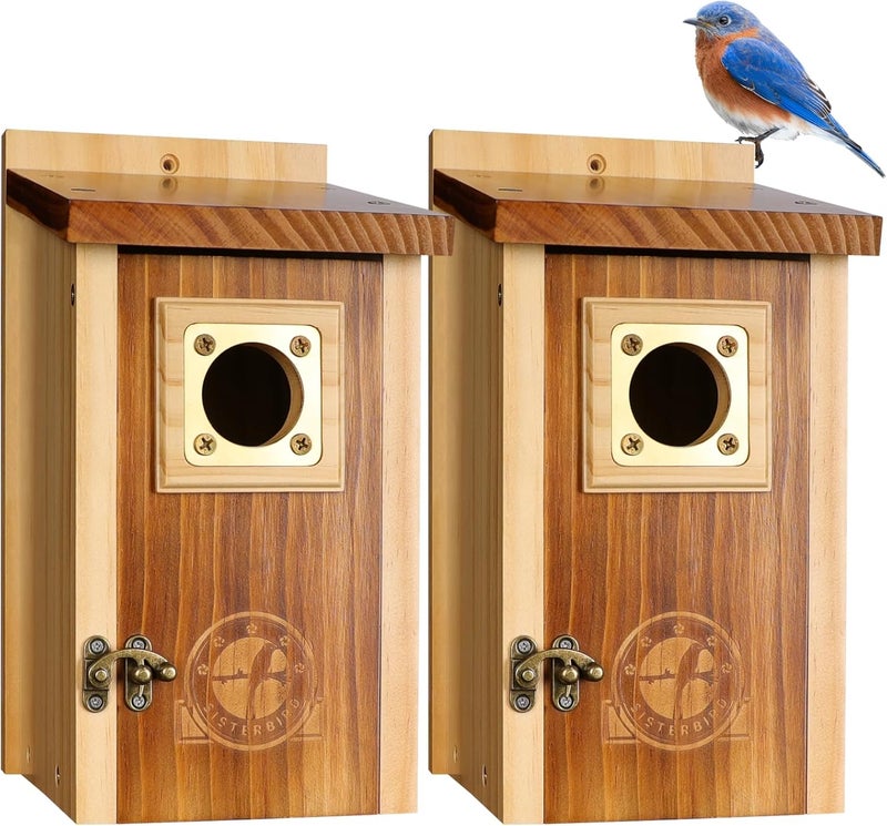 SISTERBIRD Pack of 2 Bluebird Houses for Outside, Premium Wooden Bird Houses for Outdoor, Weatherproof Blue Bird House, Bluebird Swallow Chickadee Wren, Assembly Required - Image 1